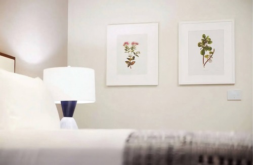 Kaanapali Hotel | Breathtaking Oceanfront Views! 4 Units, Minutes to Pacific Whale Foundation