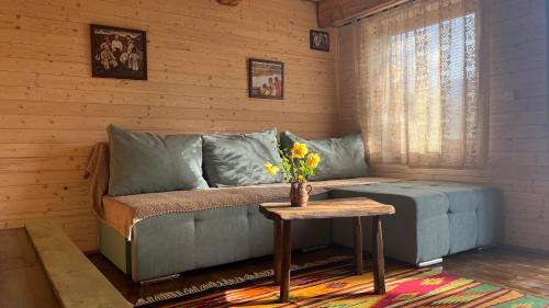 Ocna Sugatag House | Breb 220D