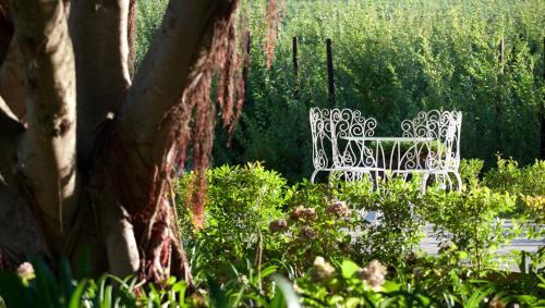 Stellenbosch Hotel | Brenaissance Wine & Stud Estate