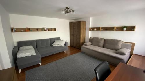 Bistrita Apartment | Bretsara