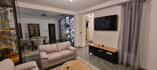 Craiova Villa | Bricktopia
