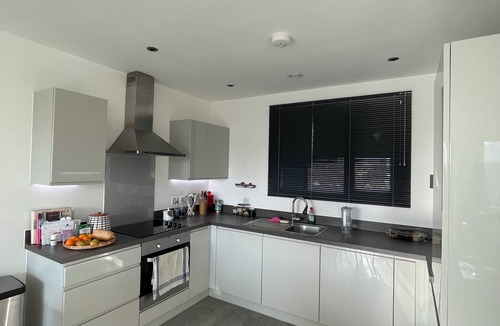 Ferndale Apartment | Bright 1 BDR Flat Balcony Heart of Brixton