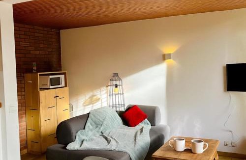 Les Tines Apartment | Bright apartment for 6 people in Chamonix