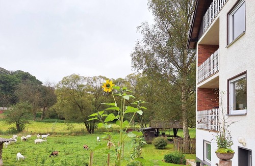 Bad Muenstereifel Apartment | Bright apartment Heidi 1st floor with fantastic valley view: KOLVENBACHER ZIEGENHOF