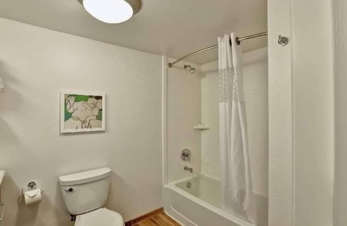 Boca Raton Hotel | Bright & Comfortable Room w/Cloud Nine Bed–Minutes from Boca Attractions