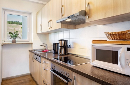 Schoenwald Apartment | Bright Feldberg Apartment on Farm with Private Balcony and Green Views