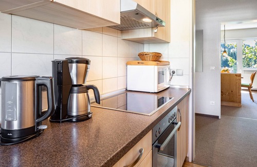 Schoenwald Apartment | Bright Feldberg Apartment on Farm with Private Balcony and Green Views