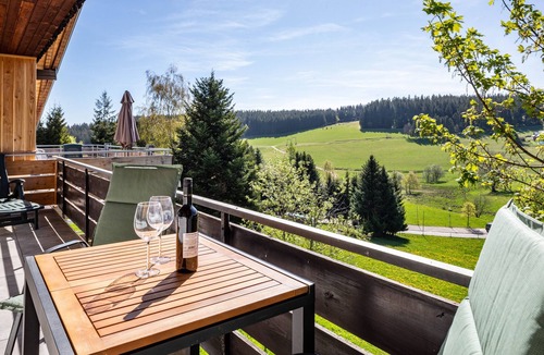 Schoenwald Apartment | Bright Feldberg Apartment on Farm with Private Balcony and Green Views