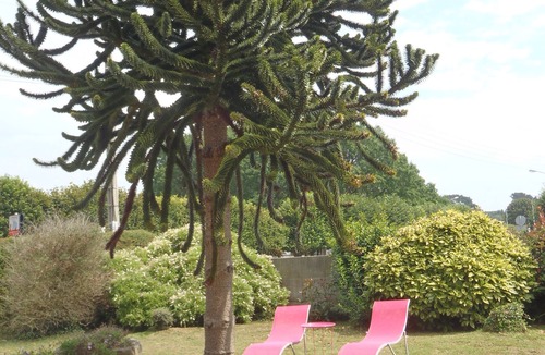 Perros-Guirec House | Bright house on enclosed grounds of 900m2, near the port and beach of Ploumanach