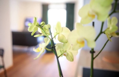 Lechhausen Apartment | ☆BRIGHT: Loft-Style for 2 | Kitchen | Parking | Netflix