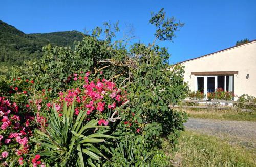 Sougraigne House | Bright loft with mountain and nature view