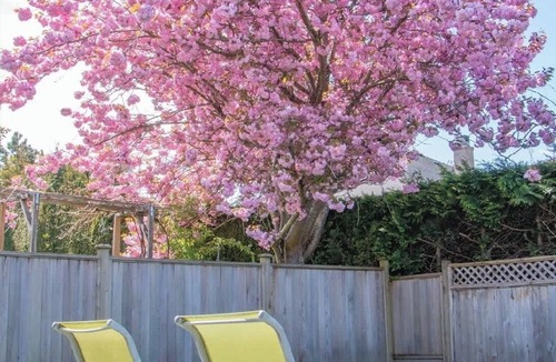 Steveston House | Bright Maple Suite