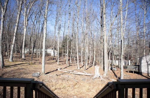 Hickory Hills Cabin | Bright & quiet cabin near mountain attractions