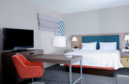 Wesley Chapel Hotel | Bright Room w/Modern Design Close to University of South Florida