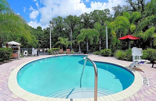 Wesley Chapel Hotel | Bright Room w/Modern Design Close to University of South Florida