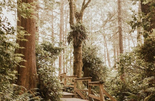 Ucluelet House | Bright & spacious 1 bedroom suite by the beach!