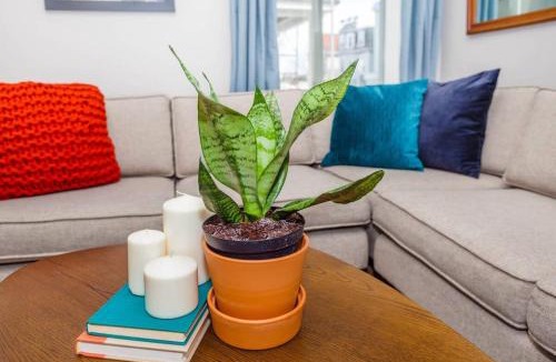 Dorchester House | Bright & Spacious Boston Home near T
