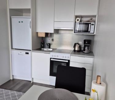 Ylamylly Apartment | Bright studio for two