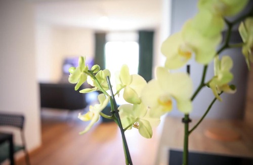 Lechhausen Apartment | BRIGHT - Stylish apartment - Kitchen - Parking - Netflix