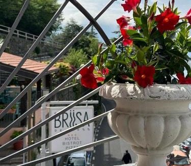 Nesso Hotel | Briisa De Ness