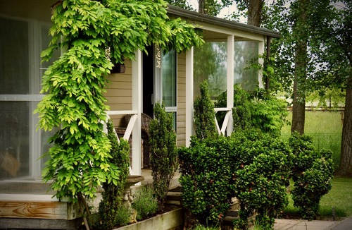 Lincoln Cottage | Bringing the countryside home