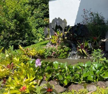 La Tigra House | Bromelia House