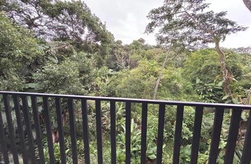 Alajuela Villa | Bromelias