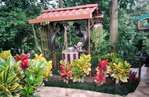 Alajuela Villa | Bromelias