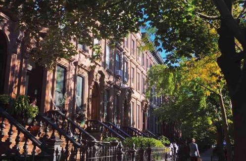 Bedford-Stuyvesant Apartment | Brooklyn artistic studio apartment
