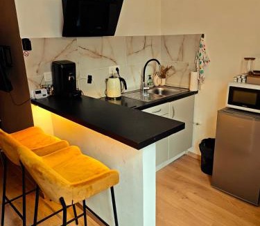 Koekelberg Apartment | Brussels Cozy Studio