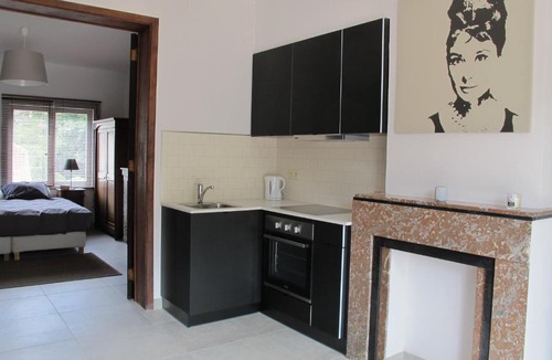 Vossegat-Roosendaal Apartment | Brussels Downtown with terrace