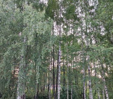 Dubeninki House | Brzozowy Chillout
