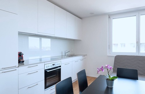 Basel City Centre Apartment | BS Bear V - Messe HITrental Apartment