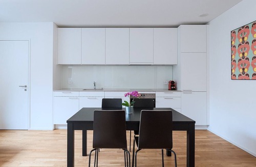 Basel City Centre Apartment | BS Deer I - Messe HITrental Apartment