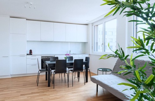 Basel City Centre Apartment | BS Owl III - Messe HITrental Apartment