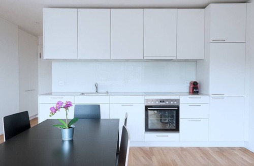 Basel City Centre Apartment | BS Wolf V - Messe HITrental Apartment