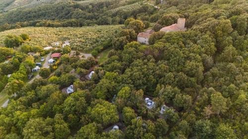 Capraia e Limite Other | Bubble Suite sotto le stelle Toscana