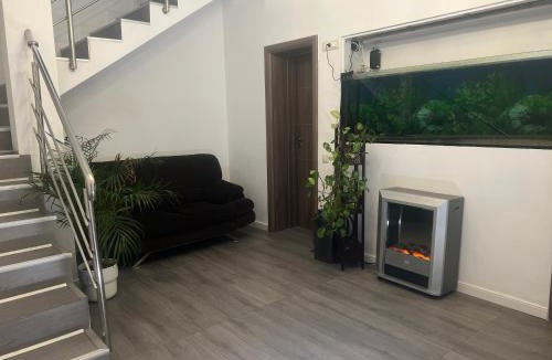 Bucharest House | Bucharest Center Villa by ACME RENT