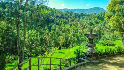 Sawan House | Buda's Homestay Lemukih