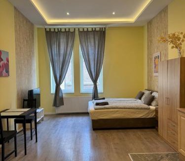 Nepszinhaz negyed Apartment | Budapest Studio Apartman