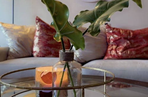 Jacksonville Apartment | Budget Friendly Boho Bungalow