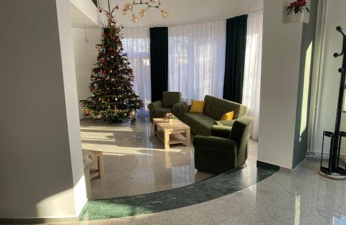 Sacele House | Budux Delux Vila