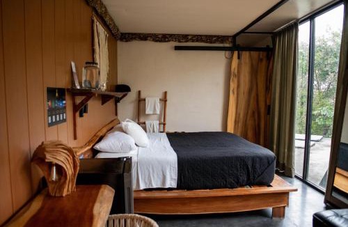 Tulum City Center Hotel | Bufo Alvarius