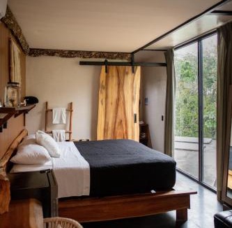 Tulum City Center Hotel | Bufo Alvarius