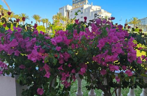 Roquetas de Mar Apartment | Buganvilla 56