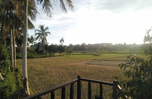 Batukliang Bed & Breakfast | Bujak Permai Avocado Bungalow