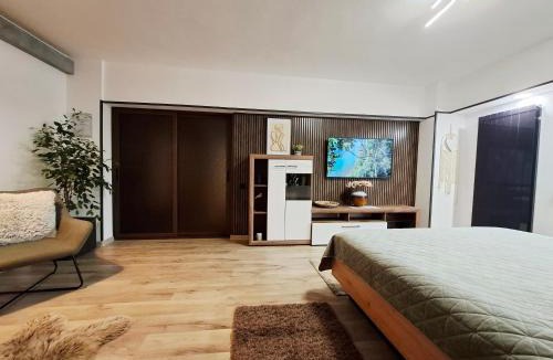 Braila Apartment | Bulevard 11
