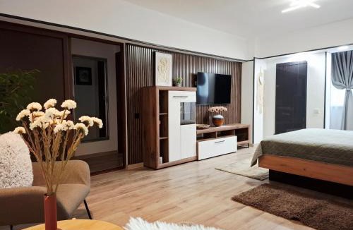 Braila Apartment | Bulevard 11