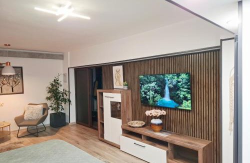 Braila Apartment | Bulevard 11