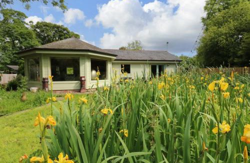 Carlisle House | Bulrush Cabin